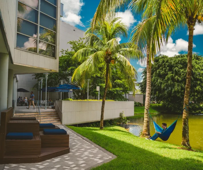 FLORIDA INTERNATIONAL UNIVERSITY NP PROGRAM visual data 8